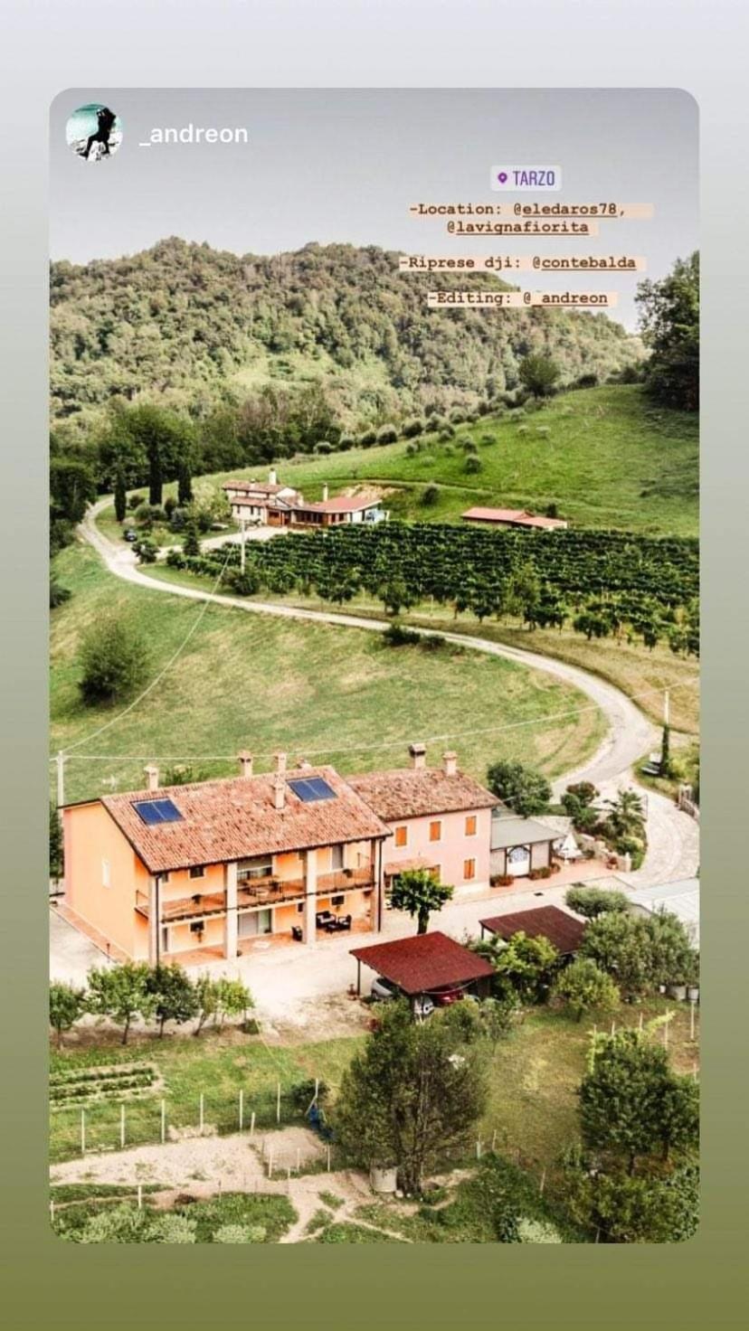 La Vigna Fiorita B&B Tarzo ภายนอก รูปภาพ